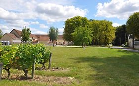 Les Pierres D'aurèle Chambres d'Hôtes